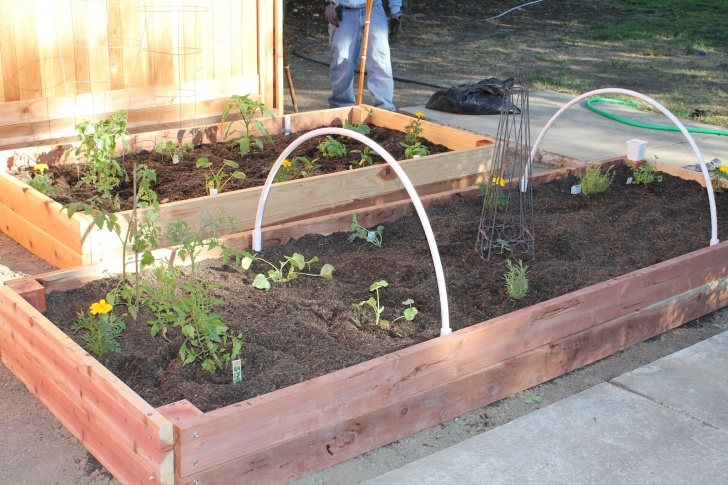 Raised Garden Bed Soil Maintenance Naturally Blissful: Raised Bed Garden Photo 166