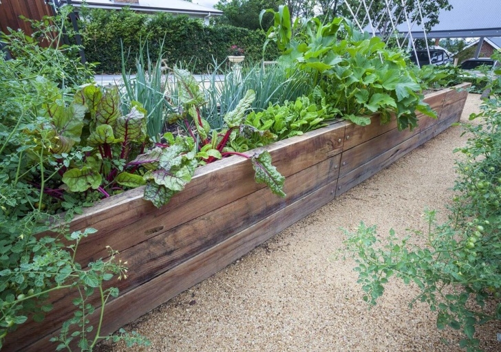 Raised Garden Bed Soil Maintenance Raised Beds For Edible Gardens | Kellogg Garden Products Picture 443