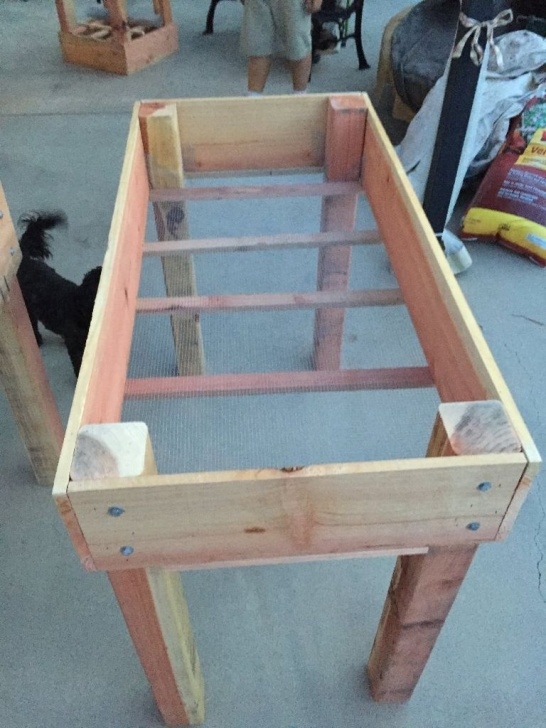 Raised Planters On Legs Diy Raised Bed Planter | Raised Planter Beds, Building A Photo 798