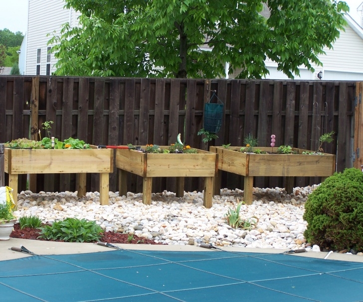 Raised Vegetable Beds On Legs Raised Garden Bed - On Legs! Picture 470