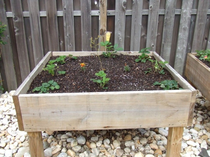 Raised Vegetable Beds On Legs Raised Vegetable Garden Beds With Legs | The Garden Photo 237