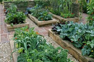 Raised Vegetable Garden Plans 25 Incredible Vegetable Garden Ideas | Green And Vibrant Image 290