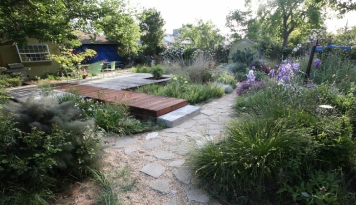 Regenerative Backyard Gardening A Regenerative Garden For Sacramento - Landscaperesource Photo 532
