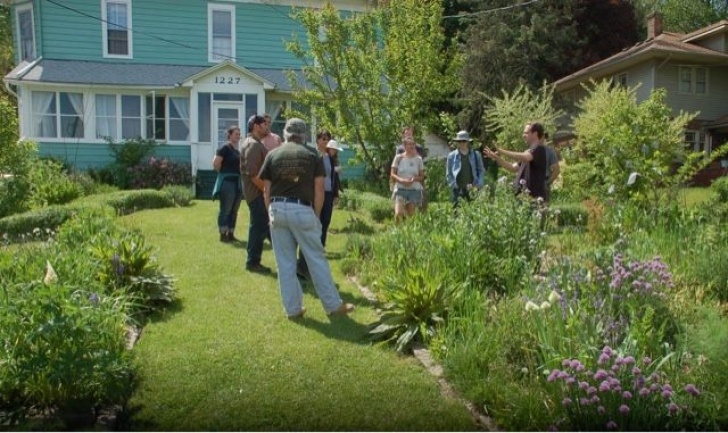 Regenerative Backyard Gardening Adventures In Regenerative Living. Permaculture Photo 006