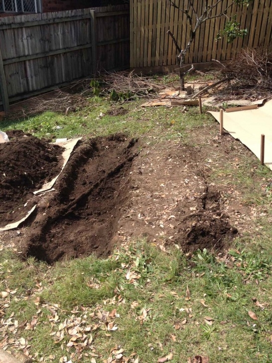 Regenerative Backyard Gardening Create Low Maintenance Garden Beds With Hugelkultur Photo 578