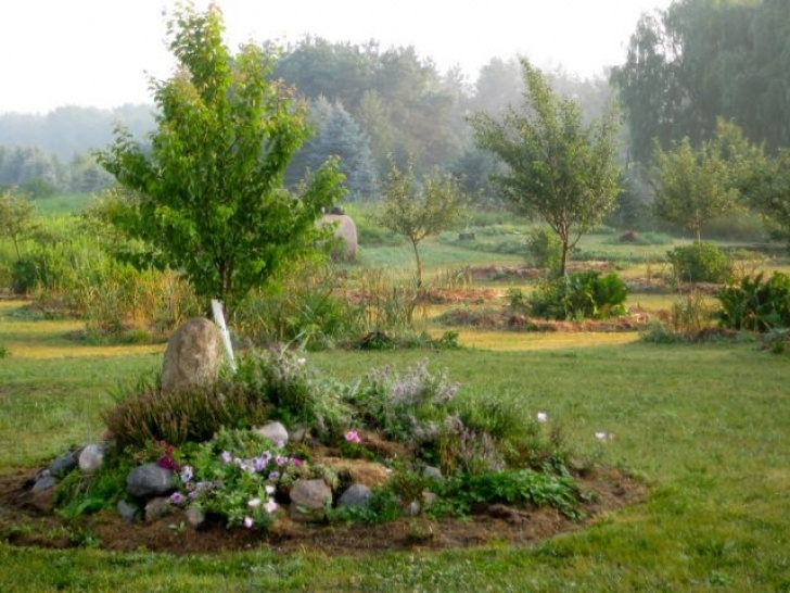 Regenerative Backyard Gardening Forest Gardening Regenerative Design | General | Trainings Photo 161