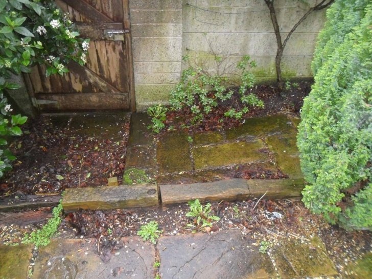 Regenerative Backyard Gardening Greenart Landscapes Garden Design,Construction And Image 037