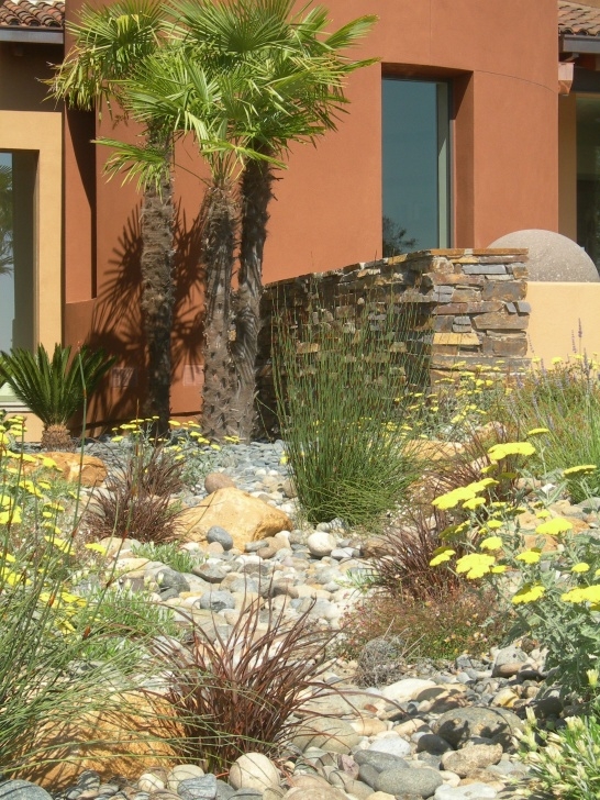 Regenerative Backyard Gardening Providing Drainage And Water Regeneration With A Dry Creek Photo 384