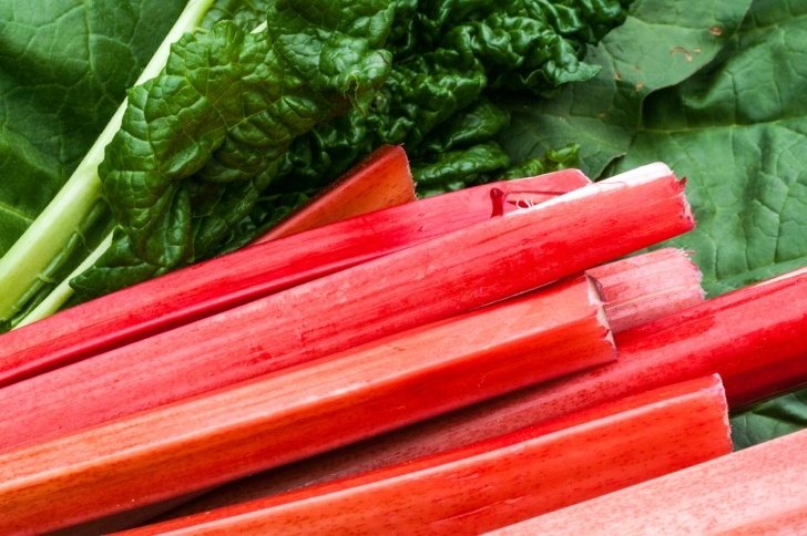 Rhubarb Companion Plants Canadian Red Rhubarb Info: Tips For Growing Canadian Red Picture 195