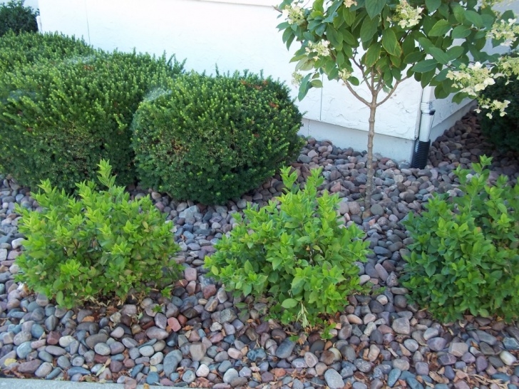 River Pebbles For Landscaping River Rocks | Riverview Stone, Llc Picture 016