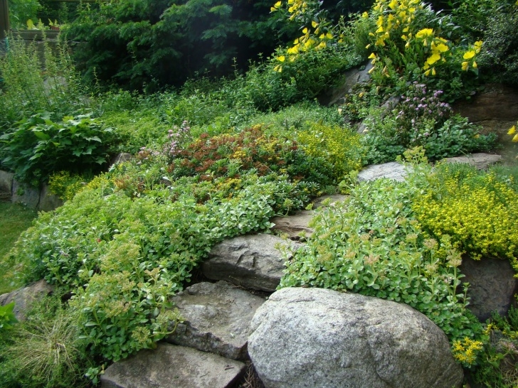 Rocky Gardens Landscaping A Rock Garden To Celebrate Spring (And A Wedding) Image 849