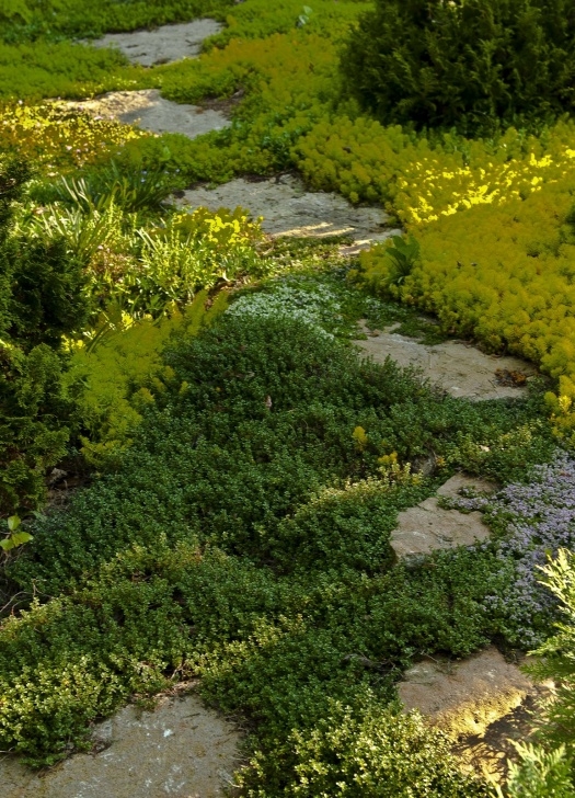 Rocky Gardens Landscaping Kentucky Native Plant And Wildlife: Rock Gardens, A Great Picture 830