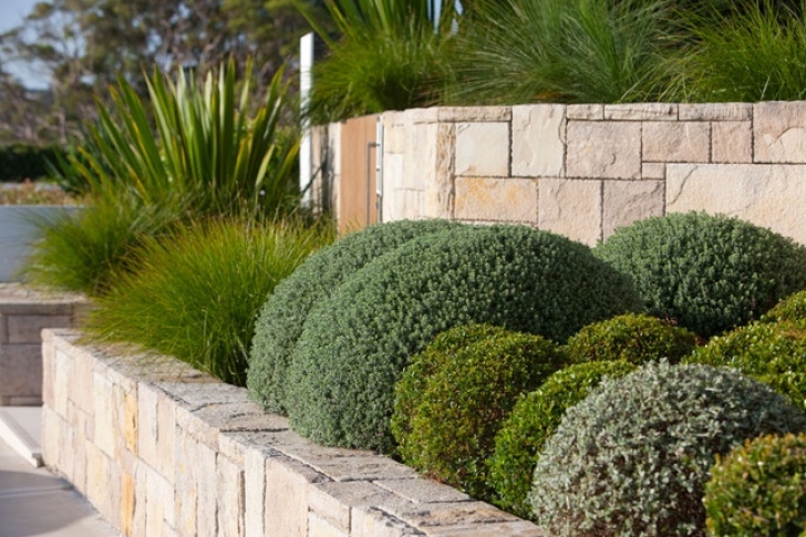 Secret Garden Landscape Mosman Landscape - Modern - Landscape - Sydney - By Secret Image 173