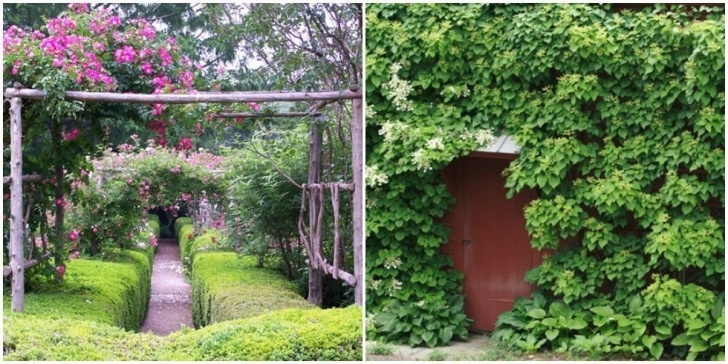 Secret Garden Landscape Private Gardens - Secret Garden Landscaping Ideas Image 370