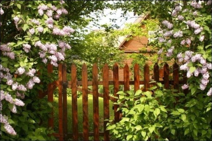 Secret Garden Landscape Secret Garden Landscaping Or How To Bring A Touch Of Image 549