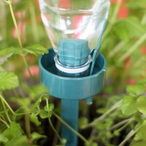 Self Watering For Indoor Plants 6Pcs/Lot Automatic Plant Waterers Drip Irrigation Self Photo 183