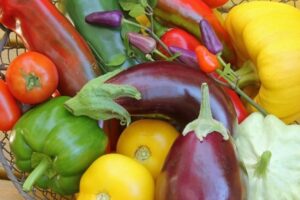 Shade Fruits And Vegetables Nightshades Cause Allergies And Inflammatory Response Picture 990