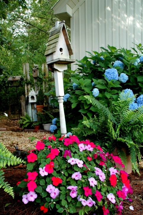 Shade Loving House Plants Shade Loving Plants That Need To Be In My Shady Front Yard Picture 927