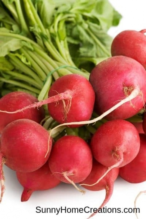 Shallow Root Vegetables Vegetables That Grow In Shade – Sunny Home Creations Image 834