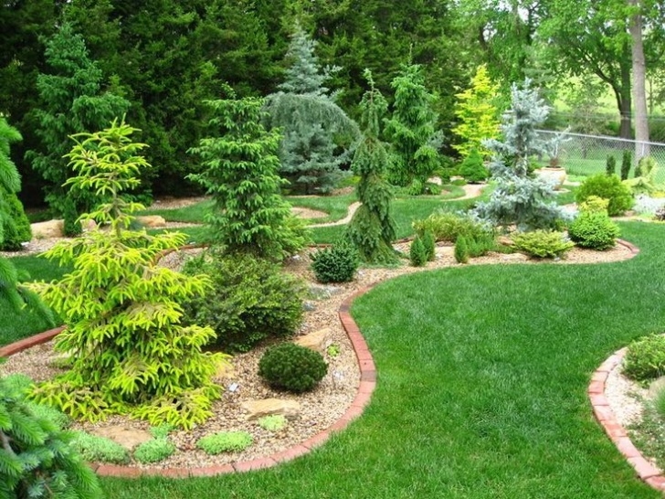 Shrubs For Small Gardens Conifer Garden Design Ideas For Front Yard | Conifer Bed Photo 774