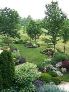 Shrubs For Small Gardens Landscape Berms And Mounds Trees Shrubs For Back Yard Image 767
