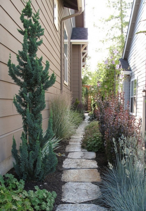 Shrubs For Small Spaces Landscape By Le Jardinet Picture 811
