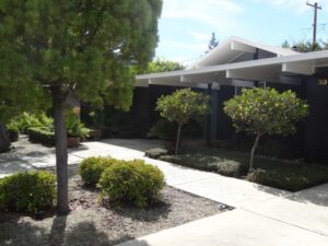Simple Front Garden A Simple Modern Home And Front Yard Garden | Tended Picture 561