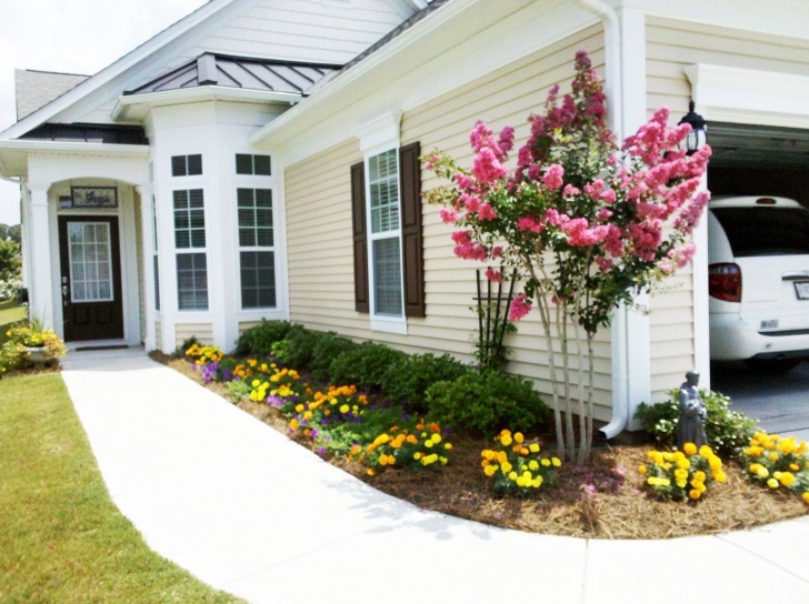 Simple Front Garden Front Yard Easy Landscaping Designs Purplebirdblog Com Low Picture 185
