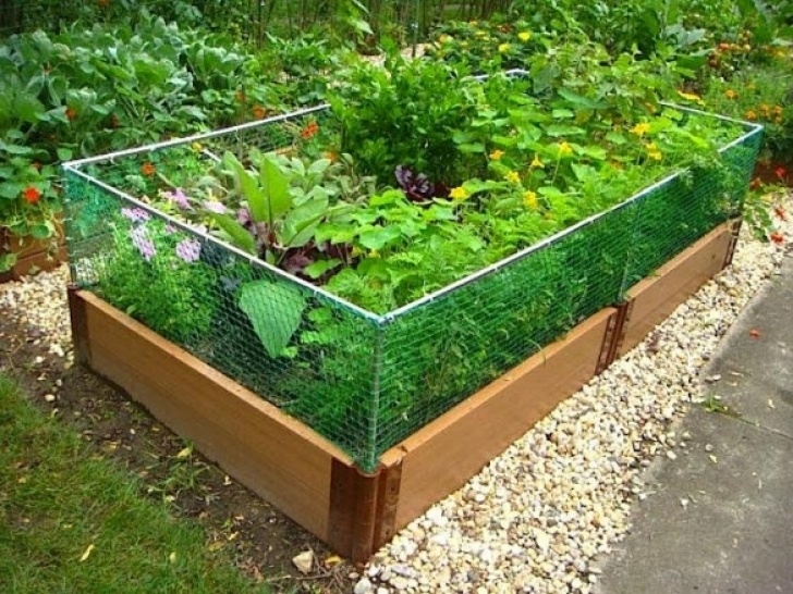 Simple Raised Bed Garden 10 Easy Pieces: Humane Ways To Outwit Varmints - Gardenista Picture 263