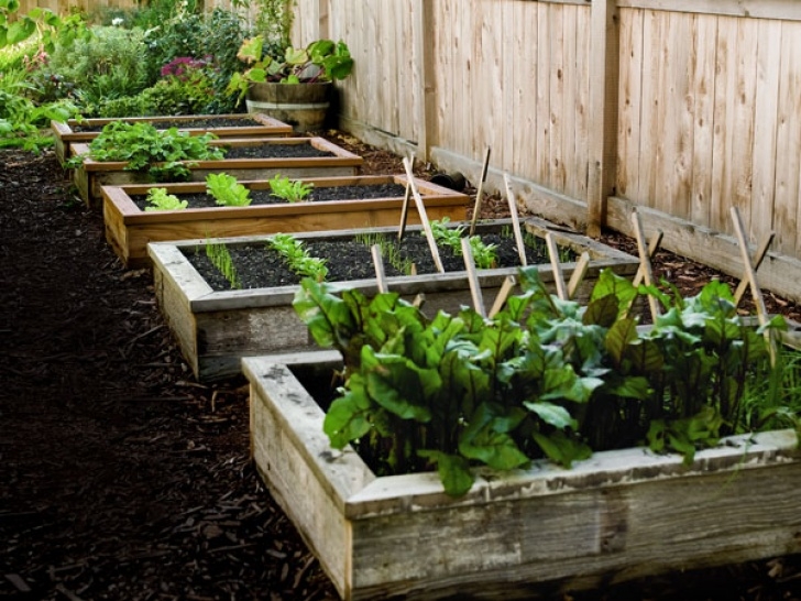 Simple Raised Bed Garden 18+ Easy-To-Make Diy Raised Garden Beds Picture 566