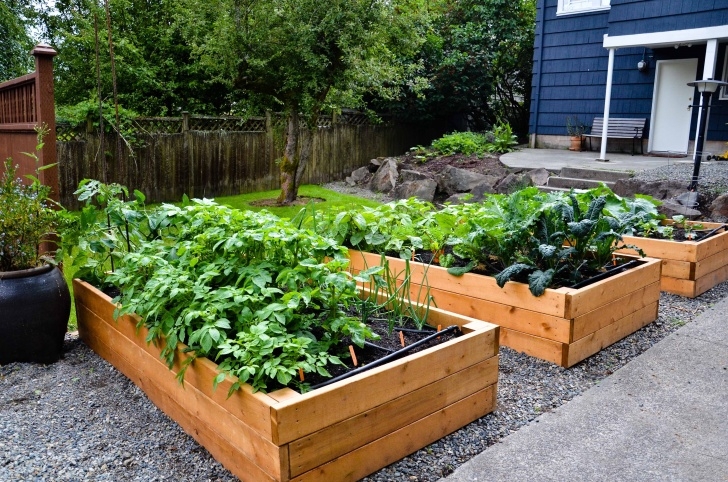 Simple Raised Bed Garden Nice Wood Raised Beds, I Like The Simple Design. | Diy Picture 109