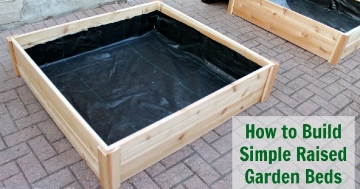 Simple Raised Garden Bed Plans How To Build Raised Garden Boxes Diy (Grow Vegetables Picture 607