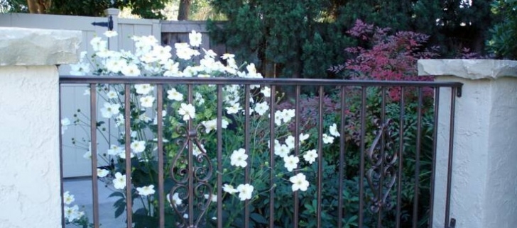 Sj Landscapes And Gardening Services San Jose Landscape Design | Landscape Design &amp; Associates Photo 806