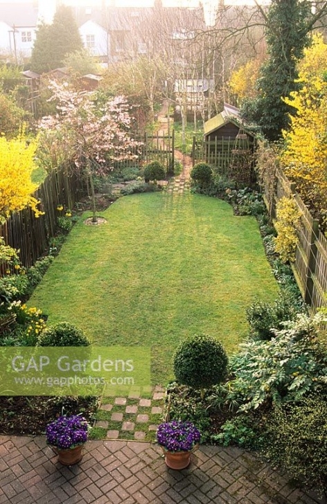 Slim Trees For Small Gardens Gap Gardens - Long Narrow Town Garden Divided Into Photo 638