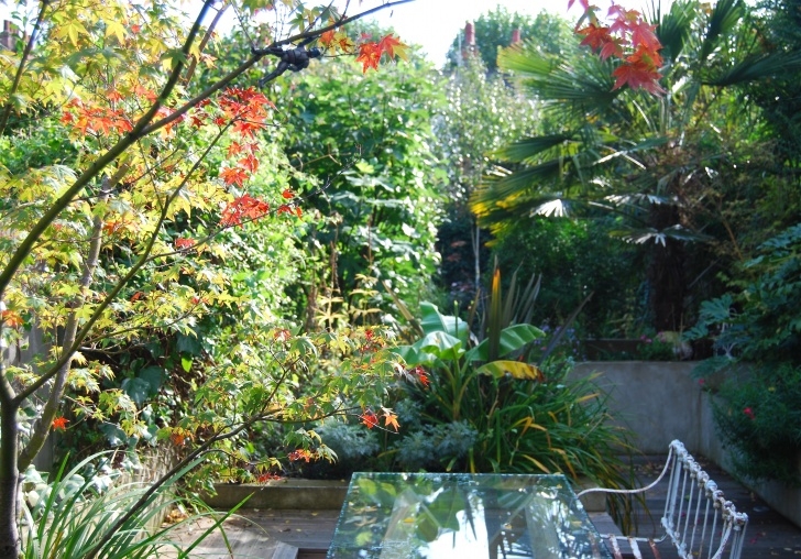 Slim Trees For Small Gardens Layouts For Narrow Gardens - Styleseed Image 945