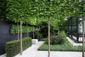 Slim Trees For Small Gardens The Great Divide - Garden Design Detail No. 1 - Growing Nicely Photo 006