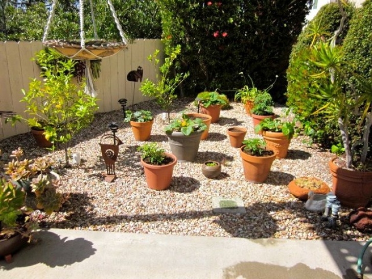 Small Backyard Designs Without Grass No Grass Front Yard Landscaping Ideas | No Grass Front Picture 159
