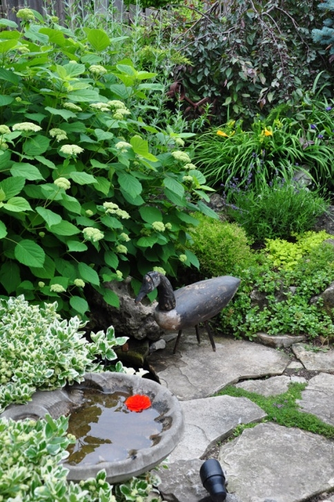 Small Backyard Water Features Three Dogs In A Garden: Pin Ideas: Small Water Features Picture 248