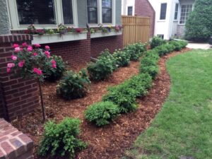 Small Bushes For Front Yard Front Yard Landscaping Minneapolis Mn | Kg Landscape Photo 084 Small Bushes For Front Yard Front Yard Landscaping Minneapolis Mn | Kg Landscape Photo 084