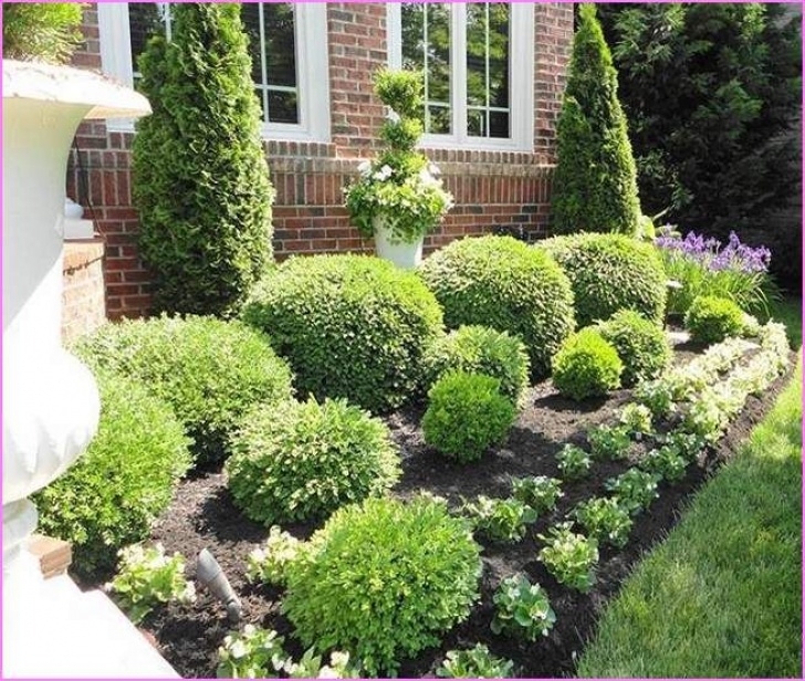 Small Bushes For Garden Dwarf Flowering Shrubs | Home Design Ideas | Landscaping Picture 696