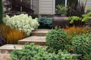 Small Bushes For Garden Small-Garden Ideas From Thomas Rainer | Gardenrant Image 152