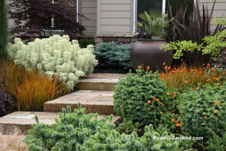 Small Bushes For Garden Small-Garden Ideas From Thomas Rainer | Gardenrant Image 152