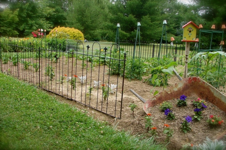 Small Fencing For Flower Beds Cosmogirl'S Emporium Photo 370