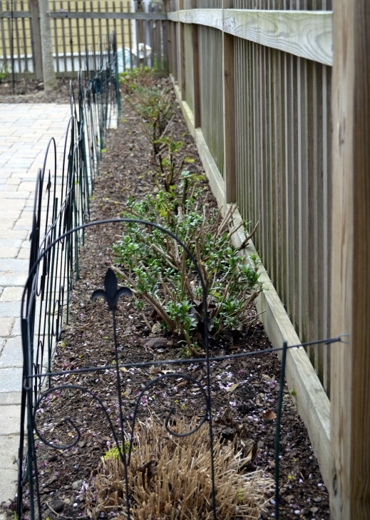 Small Fencing For Flower Beds Flower Beds Along A Fence | Perennial Pastimes Photo 741