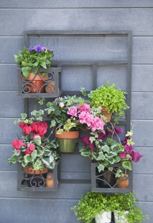 Small Flower Garden Designs 8 Small Flower Garden Ideas That Jazz Your Front Yard Up Picture 047