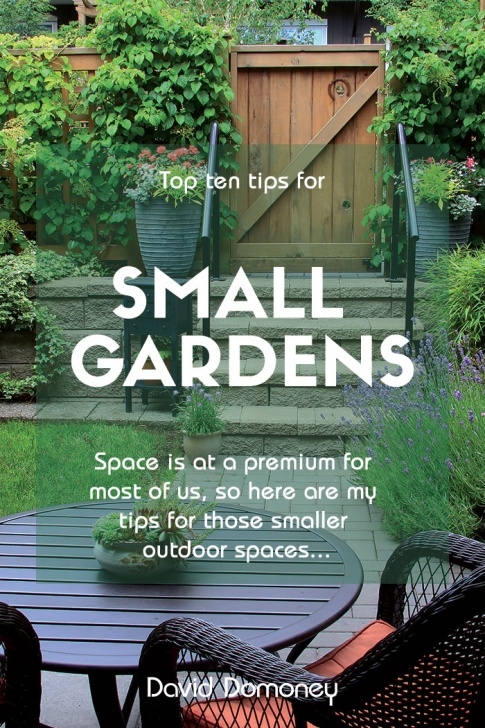 Small Garden Landscape Design Top 10 Tips For Small Garden Design To Transform Your Space Image 278