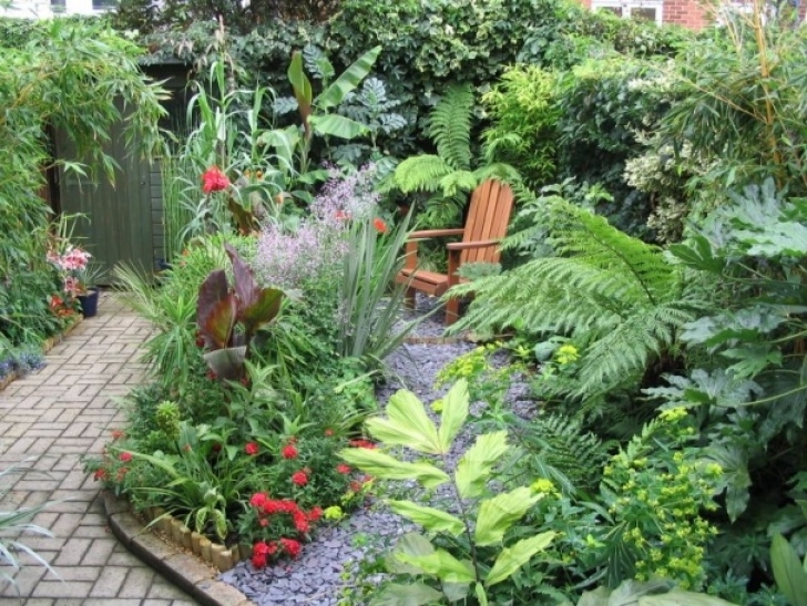 Small Garden Transformations My Urban Garden Transformation: Small Space, Big Plants Image 546