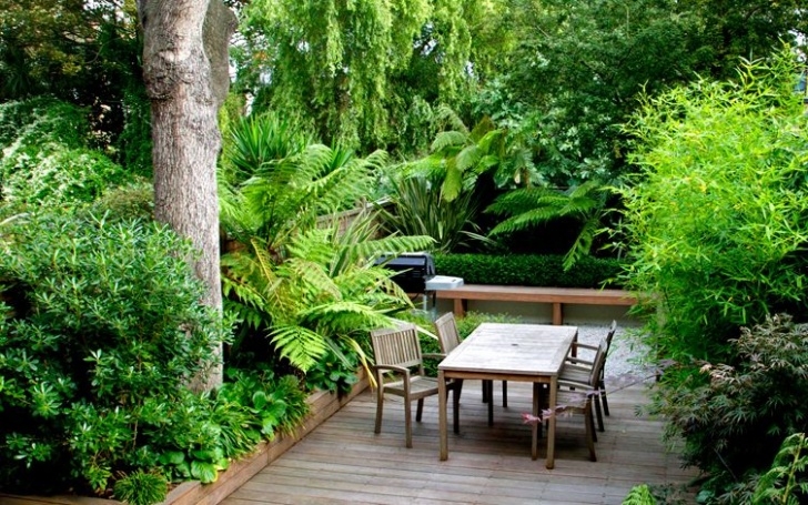 Small Garden Transformations Structural Planting Design Modern Garden Designers London Image 158