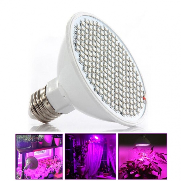 Small Grow Lights For Indoor Plants 1 Pcs 200 Led E27 Plant Grow Light Bulbs Growing Lights Picture 710