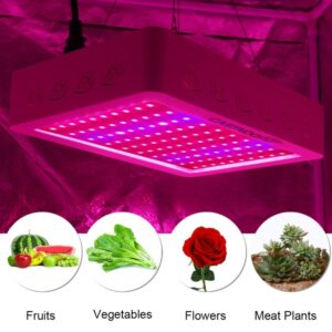 Small Grow Lights For Indoor Plants Castnoo 500W Full Spectrum High Yield Led Grow Light Best Photo 764 Small Grow Lights For Indoor Plants Castnoo 500W Full Spectrum High Yield Led Grow Light Best Photo 764